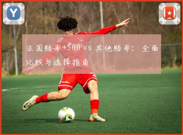 法国赔率+500 vs 其他赔率:全面比较与选择指南