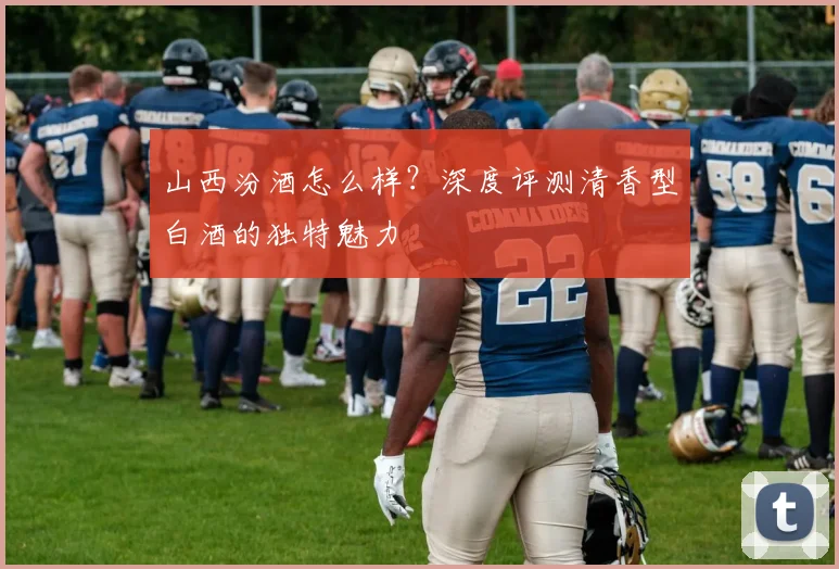 山西汾酒怎么样？深度评测清香型白酒的独特魅力